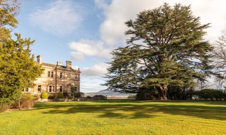 Renaissance Grandeur 3