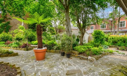 A Manchester Garden 2