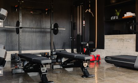 The Hollywood Cabin 9