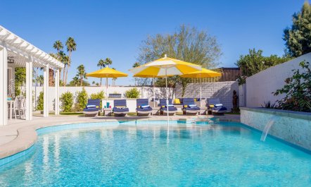 Flamingos & Polka Dots 1