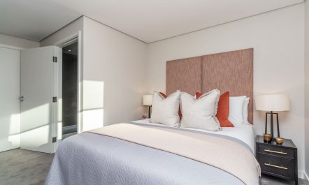 Paddington Sanctuary 7