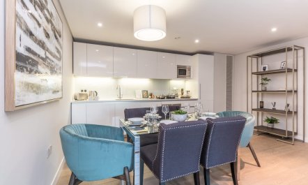 Paddington Sanctuary 4