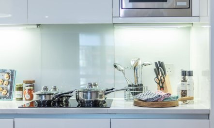 Paddington Sanctuary 5