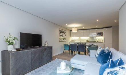 Paddington Sanctuary 2