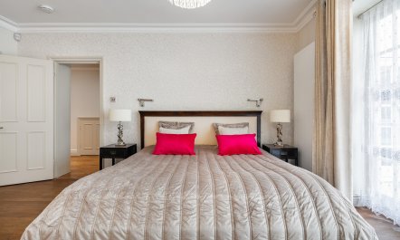 Paddington Splendour 0