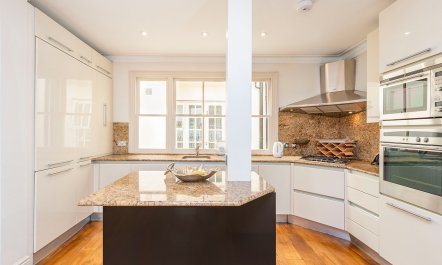 Paddington Splendour 8