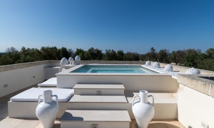 The Sunshine Palace 7