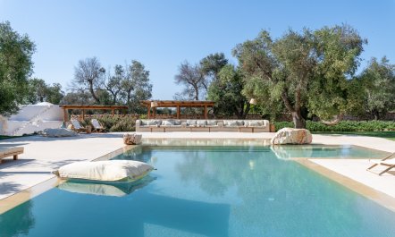 The Sunshine Palace 3