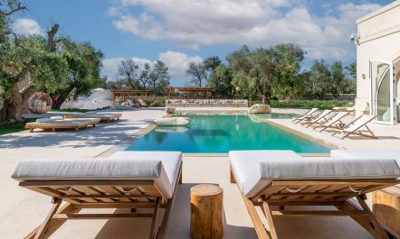 The Sunshine Palace 1