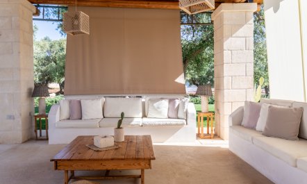 The Sunshine Palace 6