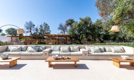 The Sunshine Palace 5