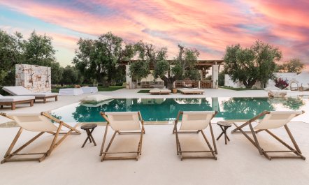 The Sunshine Palace