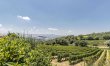 Refined Tuscany 1