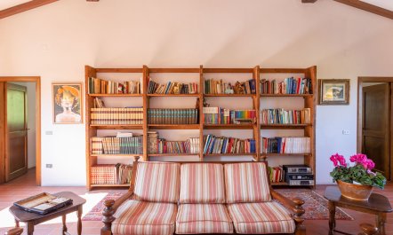 The Antique Dwelling 2