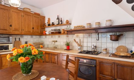 The Antique Dwelling 9