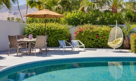 Yesteryear in the Palm 1