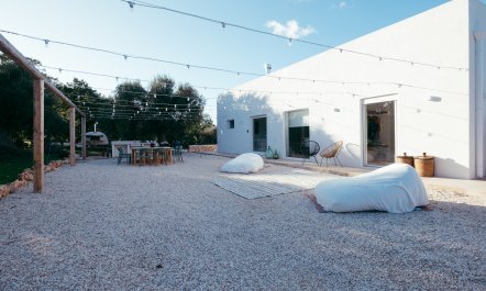 Southern Grace 7