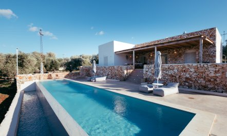 Southern Grace 5