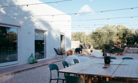 Southern Grace 8