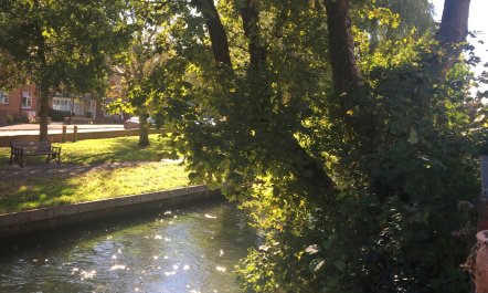 Riverside Memories 4