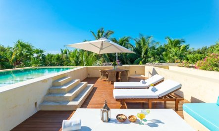 Tropical Sanctuary 2