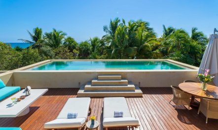 Tropical Sanctuary
