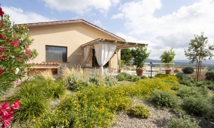 Poggio Piero 1 Holiday Home 3