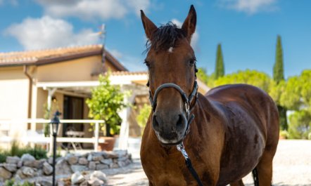 Poggio Piero 2 Holiday Home 2 2