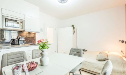 Washington Apartment 4 7