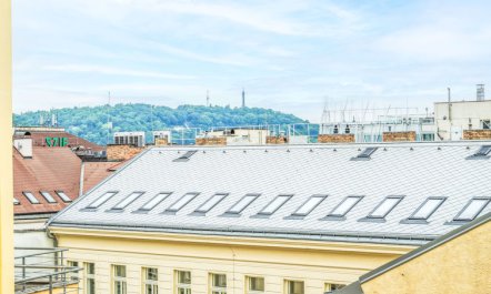 Washington Apartment 2 4