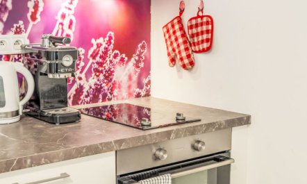 Washington Apartment 2 7