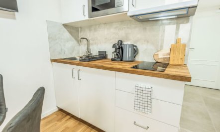 Čelakovsky Apartment 4 7