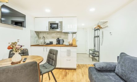 Čelakovsky Apartment 4