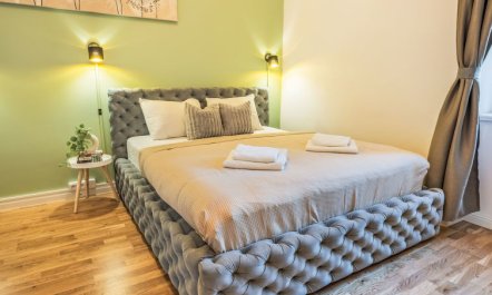 Washington Apartment 5