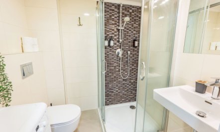 Čelakovsky Apartment 3 3