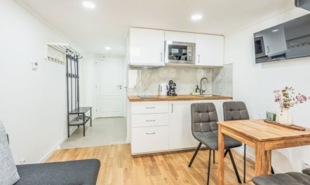 Čelakovsky Apartment 3 5