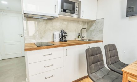 Čelakovsky Apartment 3 7