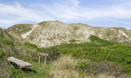 'Ejnarine' - 300m from the sea 6