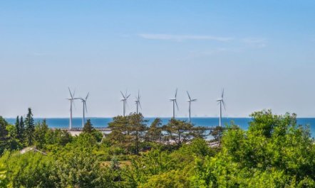 'Garbine' - 400m from the sea 7