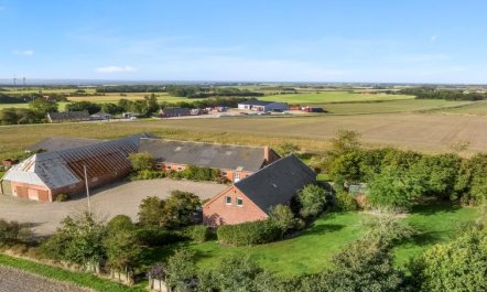 'Nette' - 2km to the fjord