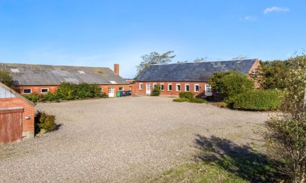 'Nette' - 2km to the fjord 5