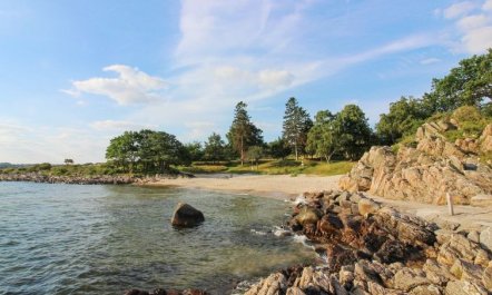 'Eleana' - 300m from the sea 2