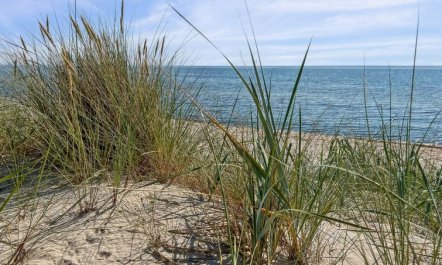 'Rusalina' - 20m from the sea 2