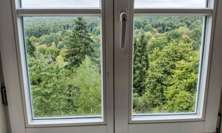 Schwalenberger Land 5