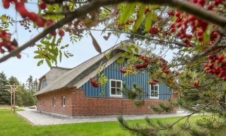 'Alvina' - 3.2km from the sea 5