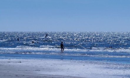 'Alvina' - 3.2km from the sea 4