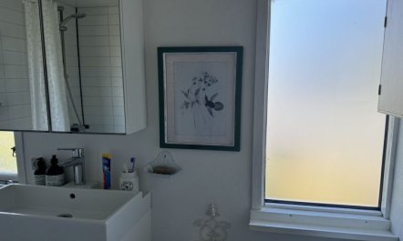 'Kamilla' -  from the sea 6