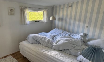 'Kamilla' -  from the sea 7