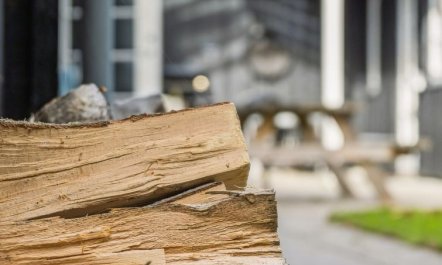 'Domi' - 1.3km from the sea 6