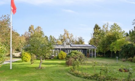 'Domi' - 1.3km from the sea 4